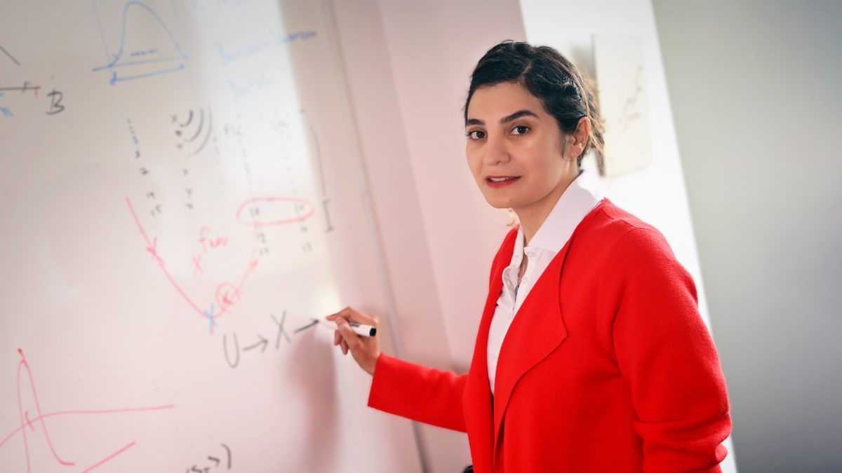 ISE assistant professor Sara Shashaani writing on a whiteboard